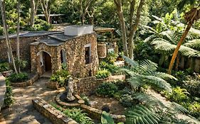 Macleod House Guest Cottage